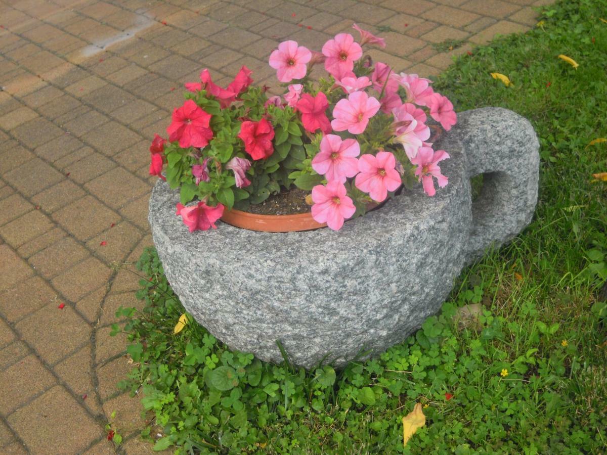 Il Nido Del Merlo Parcheggio E Giardino ヴェルバーニア エクステリア 写真